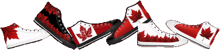 Classic Canada High Top Sneakers Canada Flag Shoes and Canadian Maple Leaf Canvas Running Shoes