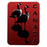 Canada Magnets Buttons Canada Goose Buttons Souvenir Collection