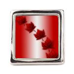 Classic Canada Souvenir Rings Canada Maple Leaf Rings