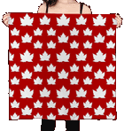 Canada Souvenir Silk Scarves Collection