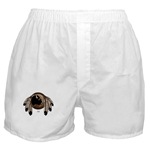 First Nations  Art Men's Boxer Shorts, Original Native Art Spirit Buffalo Design by Canadian Metis Artist Kim Hunter Men's Native Art Gifts & Shirts First Nations Womens Gifts & Shirts art & design by Canadian Metis Artist / Designer Kim Hunter custom imprinted First Nations gifts & apparel available.