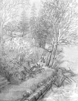 Landscape sketch Vancouver Stanley Park rain pencil sketches by Canadian Artist / Designer Kim Hunter / INDIGO