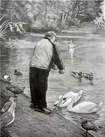 Feeding Birds & Swans in the park Pencil Sketches Drawings Illustration Ink Drawings & Original Art by Vancouver BC Artist Kim Hunter a.k.a.INDIGO CREATIVE ENDEAVOURS Sketches pencil sketches drawings wildlife landscapes sketches pencil drawings nudes portraits Artist Kim Hunter 
  freelance original graphite charcoal drawings custom illustration Original black & white Art Artwork Designer 
  fine artist portraits, old growth forest sketches shiba inu dog pencil drawings of kids,childrens portraits pencil sketches / drawings of children women, men, flowers sketches, reclined figures sketches, tattoo designs demon sketches nature sketches pencil drawings & forest sketches still life naturalist sketches, cityscapes sketches pencil drawings illustrations west coast art for sale sketches for sale prints, posters, gifts, sketch artist illustrator artist designer Vancouver BC Canada Canadian contemporary artist Kim Hunter Indigo Murals, muralist Vancouver freelance artist