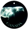 Beluga Whale Canada Souvenir & Beluga Whale Art T-shirts & Gifts Online