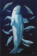 Beluga Whale Prints and Posters Canadian Marine Life Painting Prints Canadian Marine Life Painting Prints