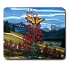 Butterfly & Fireweeds Gift Shop unique Canadian art momento's & Gifts