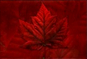 Canada Souvenir Red Autumn Maple Leaf Souvenirs & GIfts Canada Souvenir Magnet, t-shirts, caps, bags, sweatshirts, hoodies, greeting cards postcards, cups Canada souvenirs for men, women, kids, infants / baby, friends & family, Canada maple leaf gifts & much more!