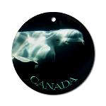 Beluga Whale Canada Ornament Canada Souvenir Decorations