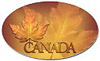 New Gold Canada Souvenirs & Gifts Design Available Beautiful maple leaf Cananada T-shirts aparel and gifts for men women kids baby home & office