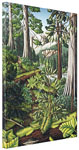 Old Growth Forest Canadian Landscape Painting Prints on Canvas