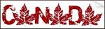 Cool Retro Canada Souvenir Maple Leaf Design Retro Vintage Distressed Red Canada Flag Souvenir