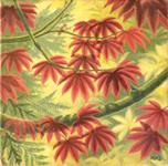 Autumn Vine Maple Landscape Painting w Hummingbirds Canadian landscape paintings by Artist / Designer Kim Hunter/ INDIGO