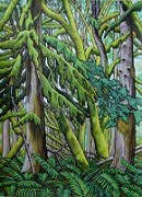 Old Growth Forest Landscape Painting West Coast Old Growth Forest Canadian Landscape Painting in Acrylic Moss Covered Trees Painting by Canadian Artist / Designer Kim Hunter Vancouver BC