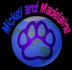 Logo Design Web Design animal welfare pet website design by Vancouver Artist / Designer Kim Hunter