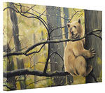 Spirit Bear Painting Canadian Wildlife Art Prints on Canvas