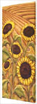 Sunflower Fields Painting Prints on Canvas