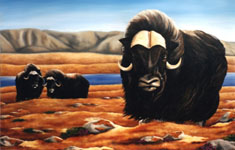 landscape wildlife painting Muskox on the tundra Oil on canvas painting click on Image for detail