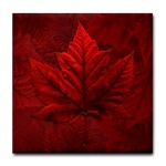 Canada Souvenir Coasters Canadian Maple Leaf Souvenir Coasters for Home & Office Beautiful Red Canada Maple Leaf Souvenir 
						Gifts 