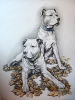 Custom painted pet portrait from photograph Painting in watercolour of dogs Custom painted sketched pet portaits Available by Vancouver artist / designer Kim Hunter.