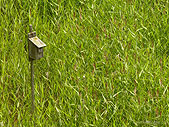 Reifel Bird Sanctuary Delta Canada 