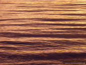 Tranquil Ocean Sunset Free Desktop Image