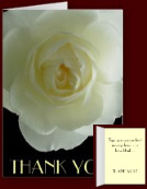 White Rose Cards & Gifts - Customized White Rose Cards Rose Gifts Prints, Decor & Keepsakes Online