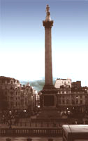 Trafalgar Square London England Lord Nelson Monument London England Cityscape Photograph
