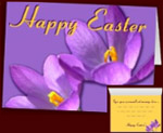 Easter Cards Flowers Cards Personalized Crocus Cards