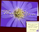 Blue Flowers Thank You Cards Personalized Cards