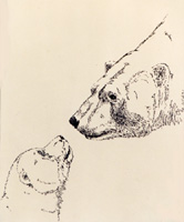 Polar Bears Sketch drawing Wildlife Paintings Churchill MB Original Pen & ink Wildlife Drawingby Canadian Metis artist / designer Kim Hunter