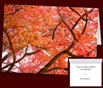 Personalized Greeting Cards Inspirational Autumn Cards Custom or Blank