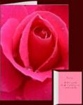 Rose Cards Pink Flowers Custom Greeting Card Rose Flowers Card Blank Thank You Card Personalize