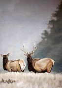 Wildlife Paintings Elk painting in Misty Mountains, wildlife painting Canadian Artist Kim Hunter / Indigo Commissioned paintings welcome!